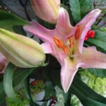 ホームページ制作 京都 2018新年