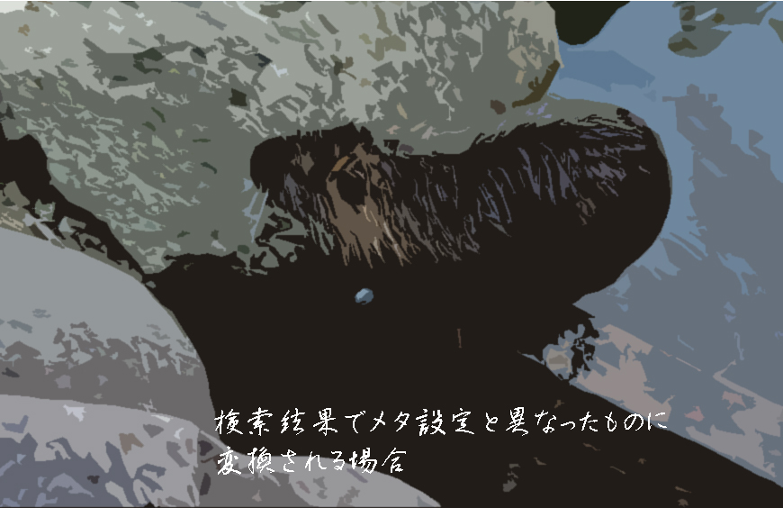 検索結果でメタ設定と異なったものに変換される場合