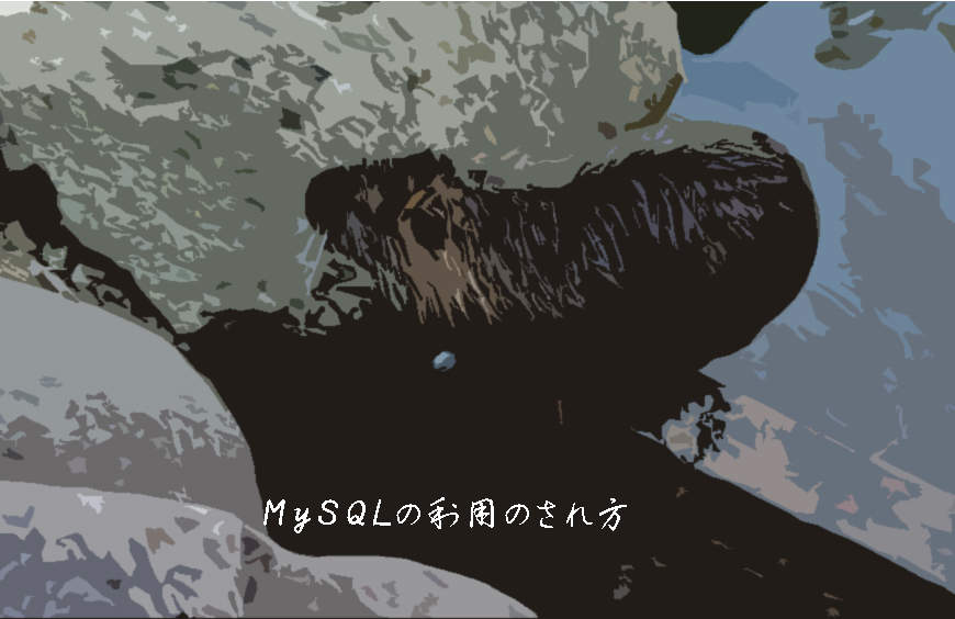 MySQLの利用のされ方