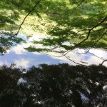 ホームページ制作 京都 ファンフェアファンファーレ夏期休業日のお知らせ 2022