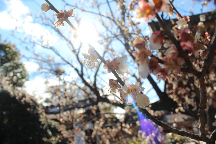 数値で測れないリレーション効果