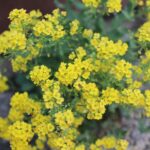 お問い合わせフォームから届く迷惑メールや営業メールへの対策