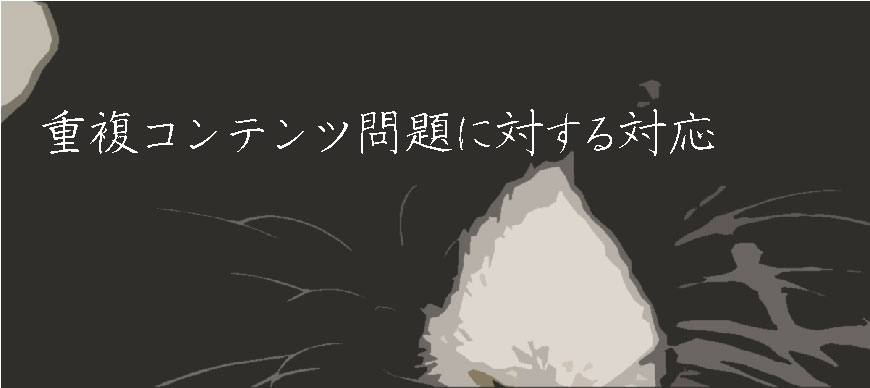 重複コンテンツ問題に対する対応