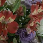 適格請求書等保存方式（インボイス制度）への対応