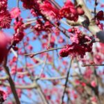 サーバーのphpバージョンアップの影響によるWordPressやメールフォームのエラー