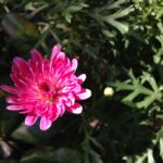 Web担当者がいなくなりホームページの情報がわからない場合の対処法