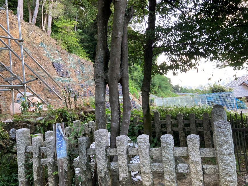 むすびの木 月読神社