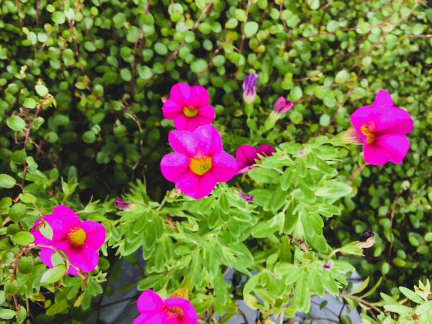 ネットショップの信用力を高める具体的な方法