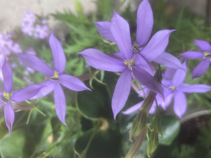 各SNSでのリーチ数やアクション数などを確認
