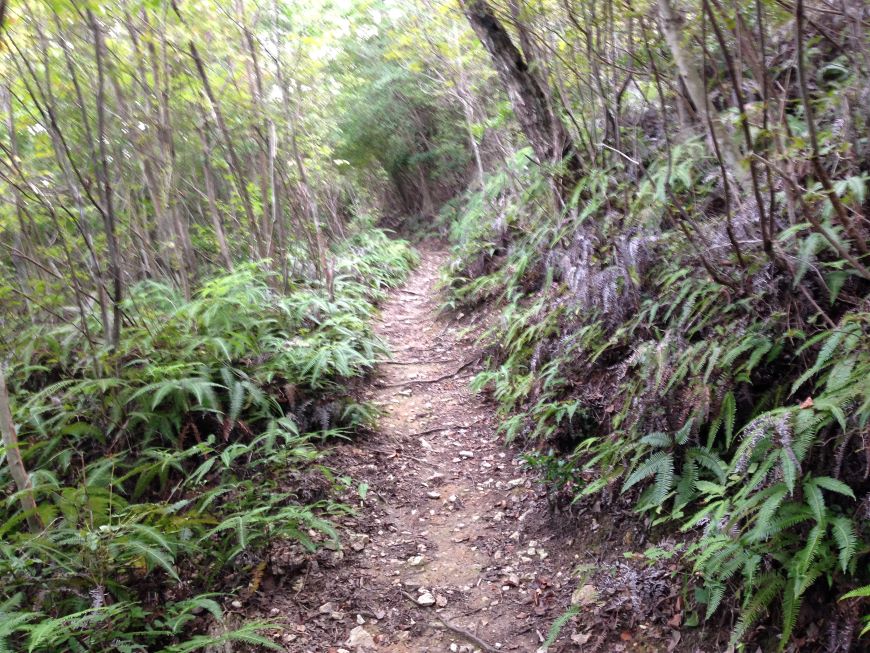 嵯峨天皇 嵯峨山上陵 山道ルート