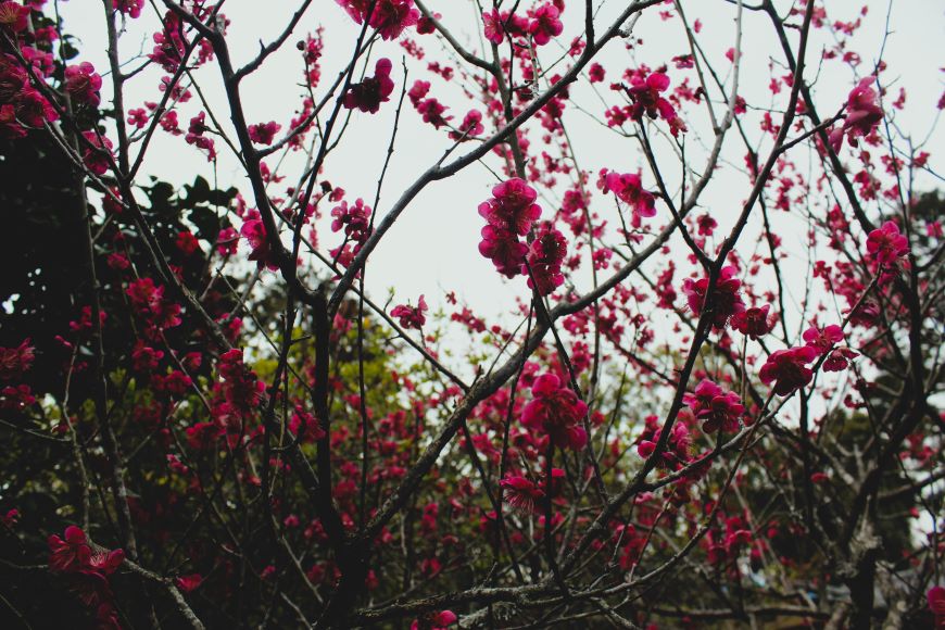 クロージング要素としてのEFO(エントリーフォーム最適化)や問い合わせ前の不安の解消