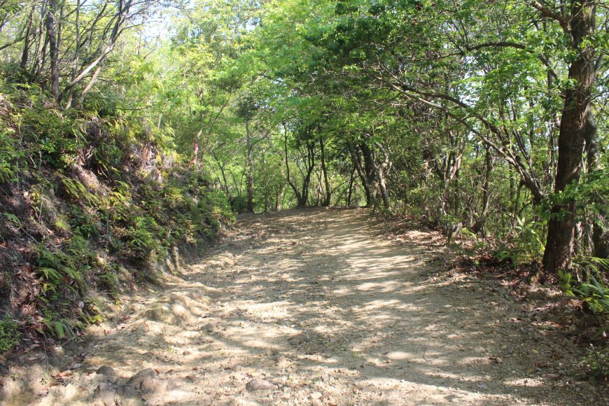宇多天皇 大内山陵 参道1