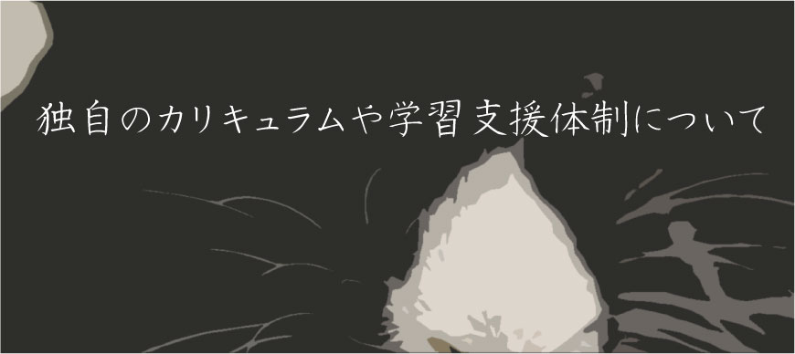 独自のカリキュラムや学習支援体制について