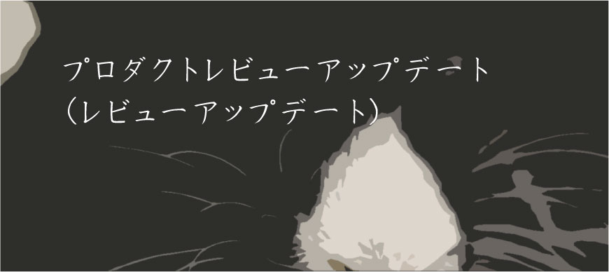 プロダクトレビューアップデート（レビューアップデート）