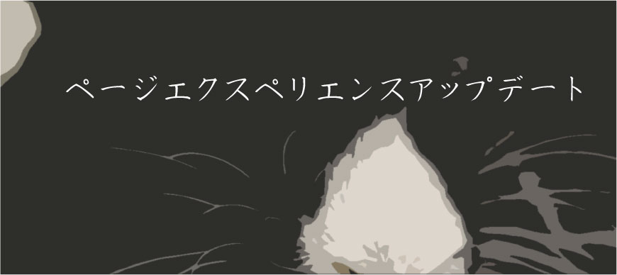 ページエクスペリエンスアップデート
