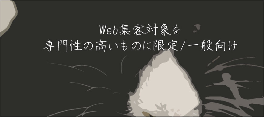 Web集客対象を 専門性の高いものに限定 一般向け