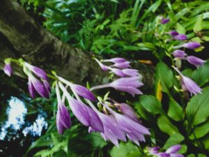 JSON-LDテストツールとデバッグ 記述の検証とエラー対応