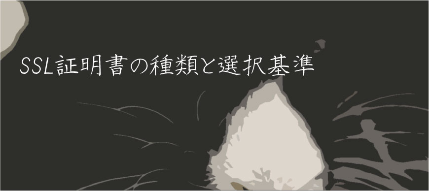 SSL証明書の種類と選択基準