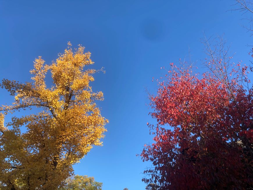 AIが変えるホームページの役割