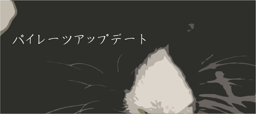 パイレーツアップデート