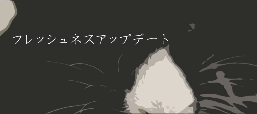 フレッシュネスアップデート