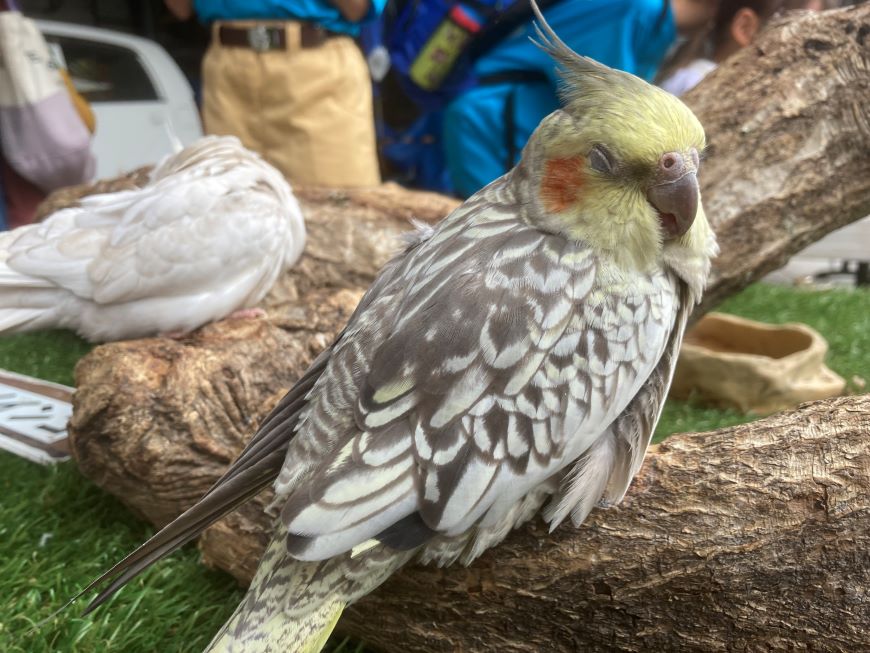 情報の「有用性」に囚われ、人の心を見失っていませんか?