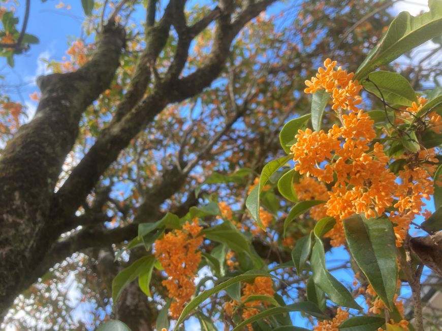 「ホームページがあればいい」は危険信号 自ら売上を捨てる『機会損失』の現実