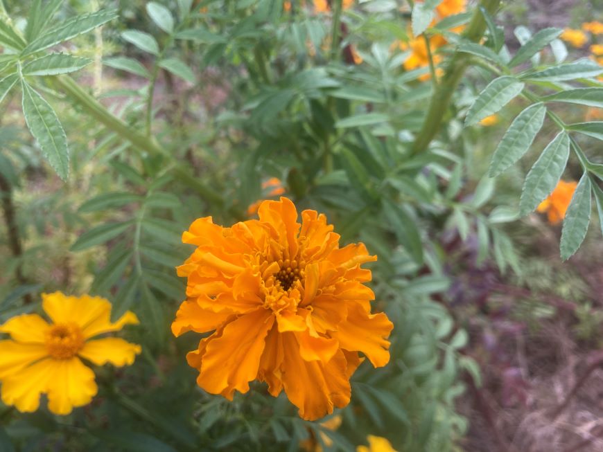 失敗を避けるには、制作の前に「プロの設計図」を手に入れる