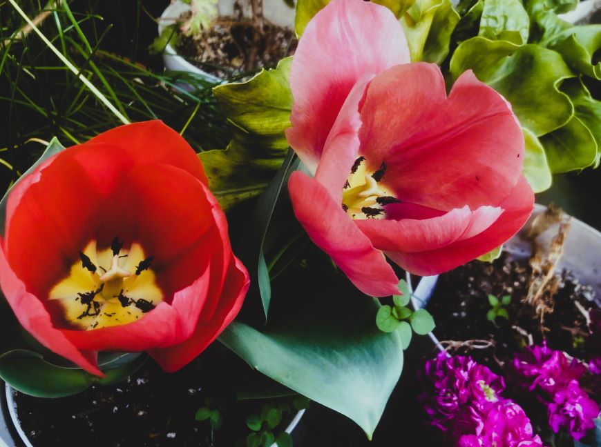 ホームページ制作費用は「コスト」ではありません 財務・投資の視点で見る費用対効果と機会損失