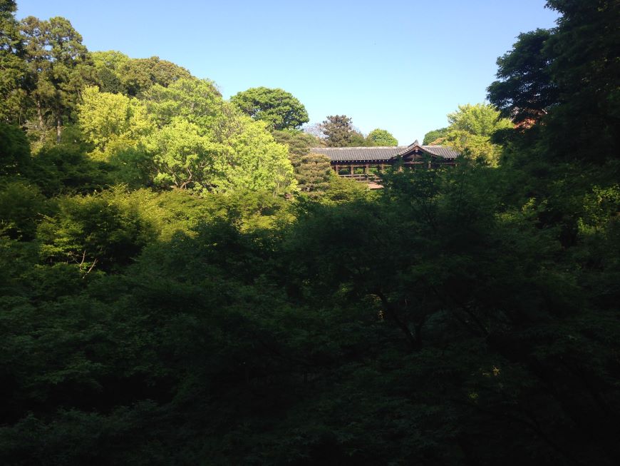 京都市東山区 通天橋