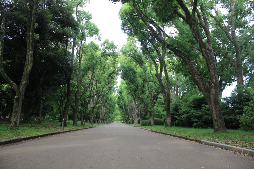 京都市左京区 京都府立植物園