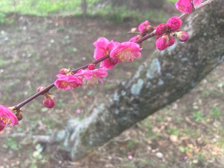 AI時代にホームページ(ウェブサイト)でファンを創る方法