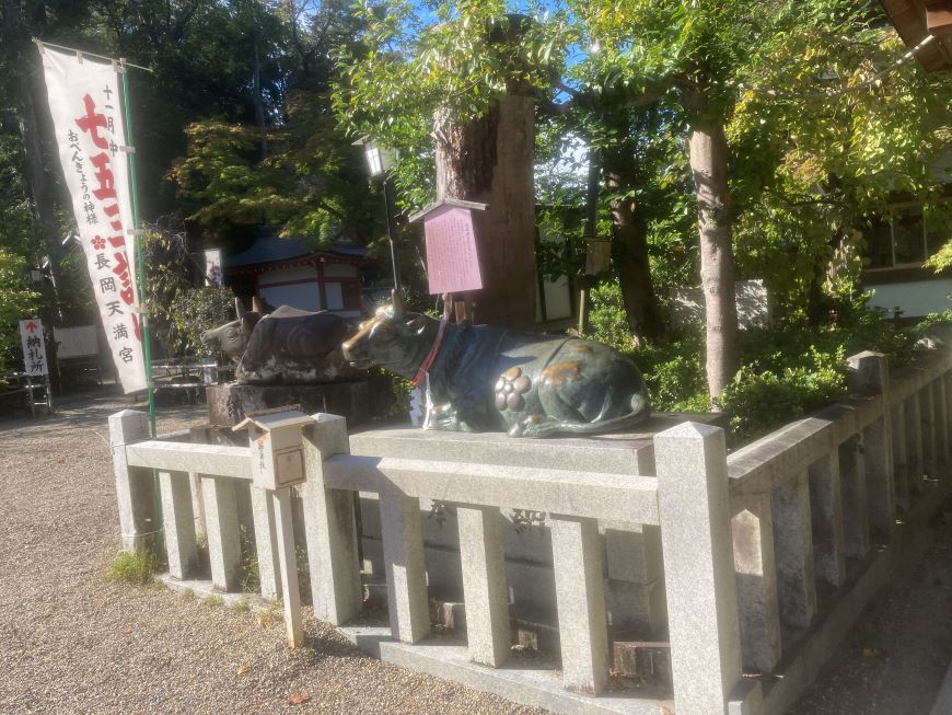 長岡天満宮 牛