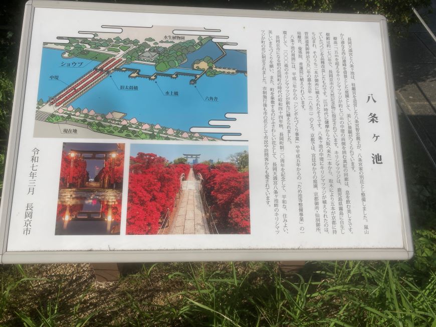 八条ヶ池 案内