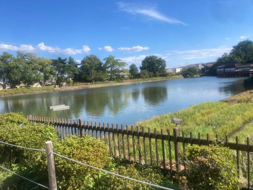 八条ヶ池水生植物園4