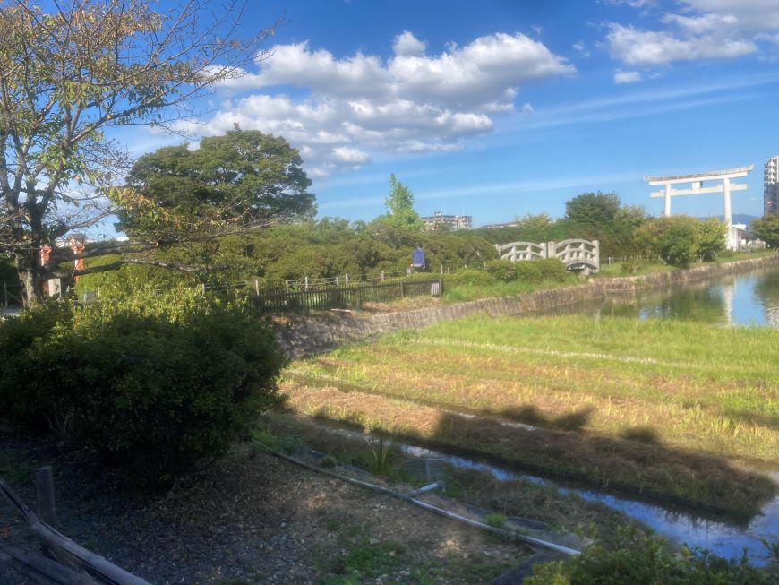 中堤 八条ヶ池 長岡天満宮